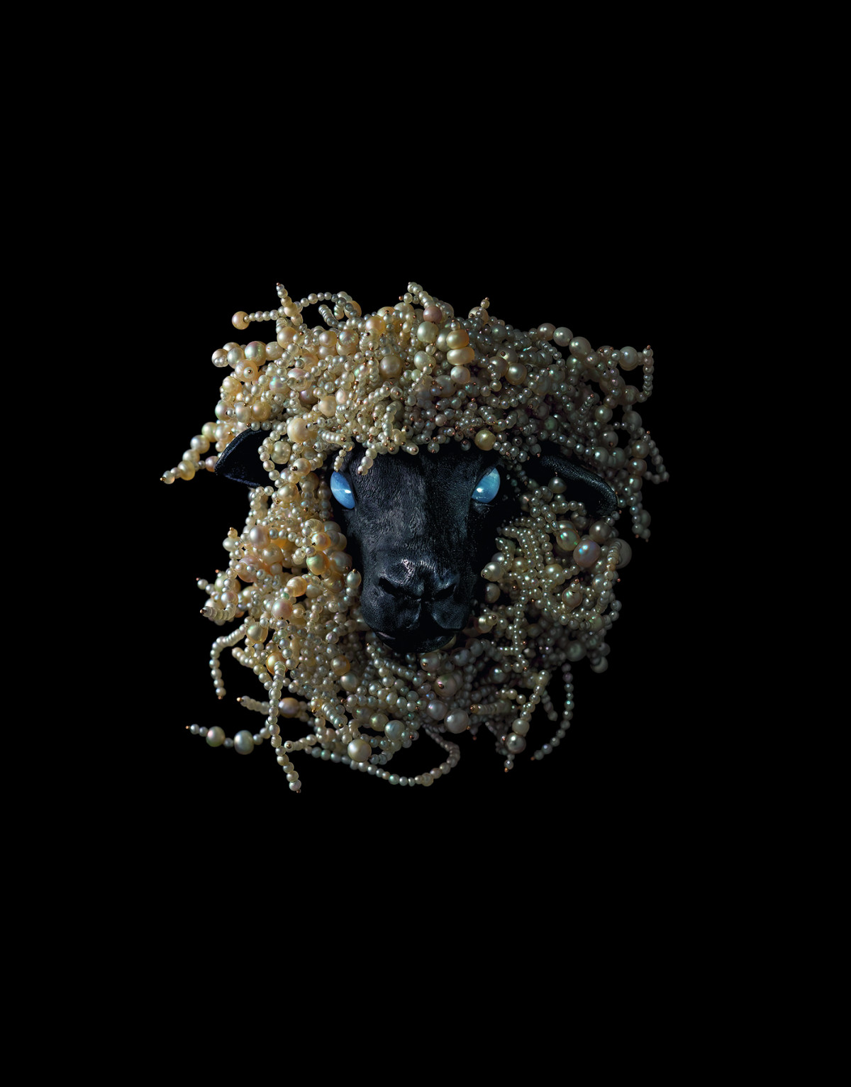 brosza w kształcie głowy owcy, 2006r. © kolekcja prywatna, dzięki uprzejmości l’école, school of jewelry arts